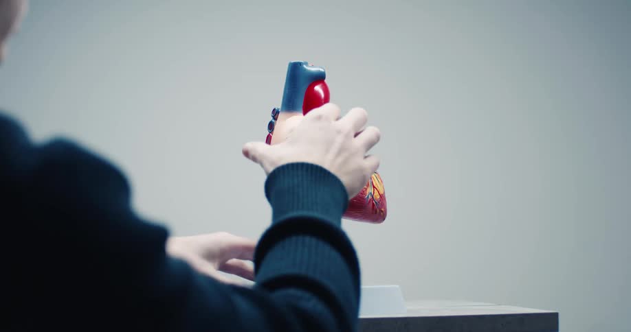 A person looking at a sculpture of a heart