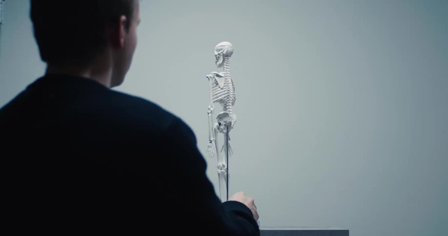 Man rotates a small skeleton model and examines it while indoors