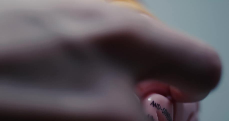 A person holds and inspects a model of a human brain used as a study aid
