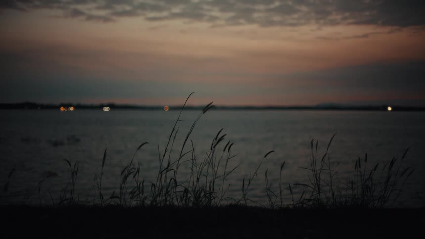 A view shows silhouettes of tall grass swaying in the breeze on a shore with a calm lake and a dark sunset sky in the distance