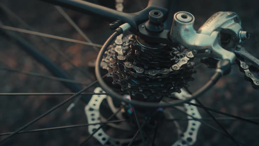 Cassette rear derailleur and brake rotor