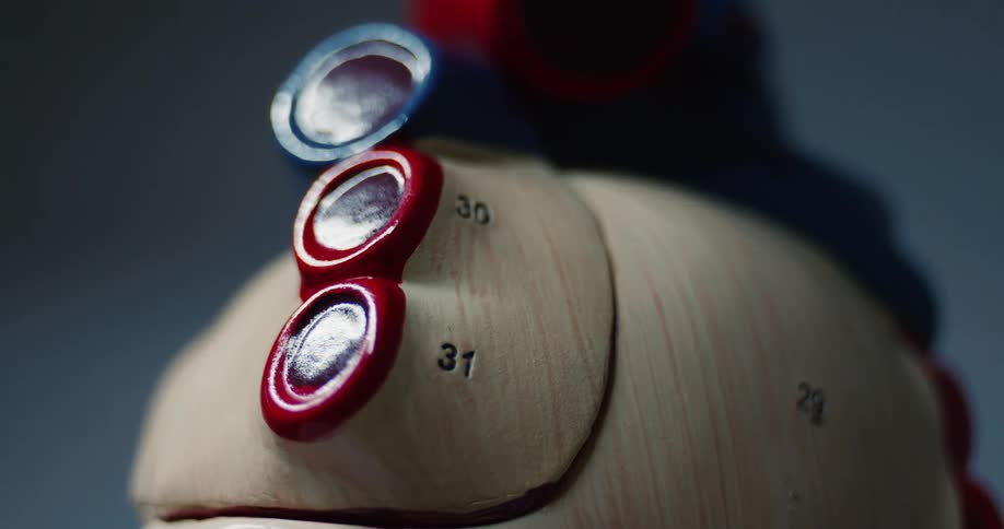 Light brightens onto an object colored primarily white with red and blue accents