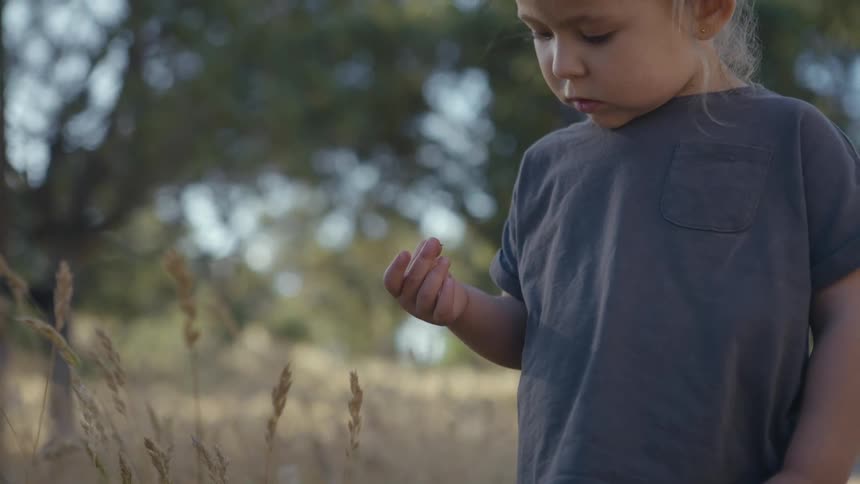 Child in field observing object in hand