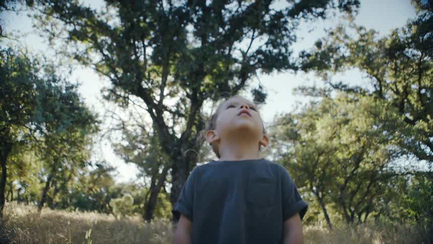 Child in grassy field looking upward