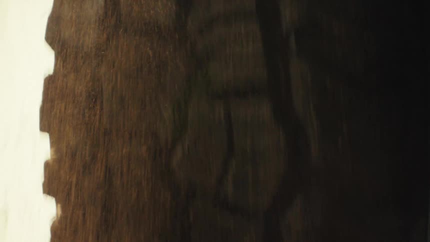 Tire of a moving vehicle passing through mud
