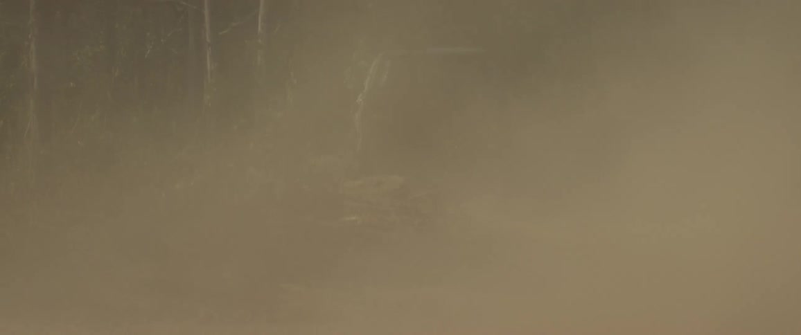 Dust blowing past obscures a vehicle passing through the woods during the daytime