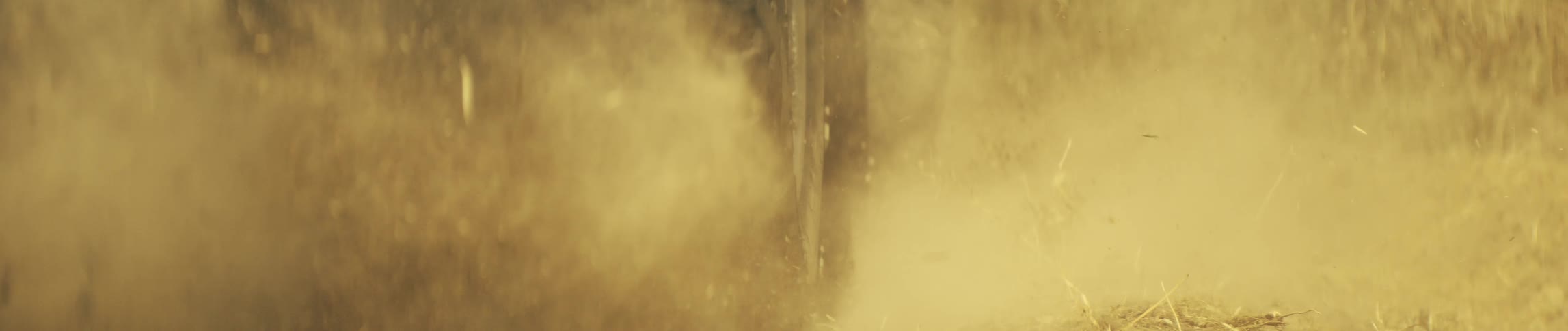 Large black tires churn through dry earth and kick up a thick golden dust cloud that eventually obscures the entire frame as the vehicle accelerates forward across the rugged terrain