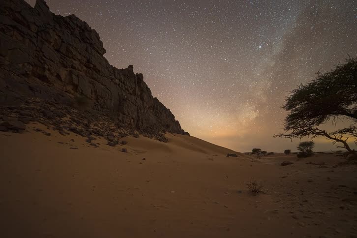 A clear starry sky stretching over a desert landscape with one tree and a rugged cliff