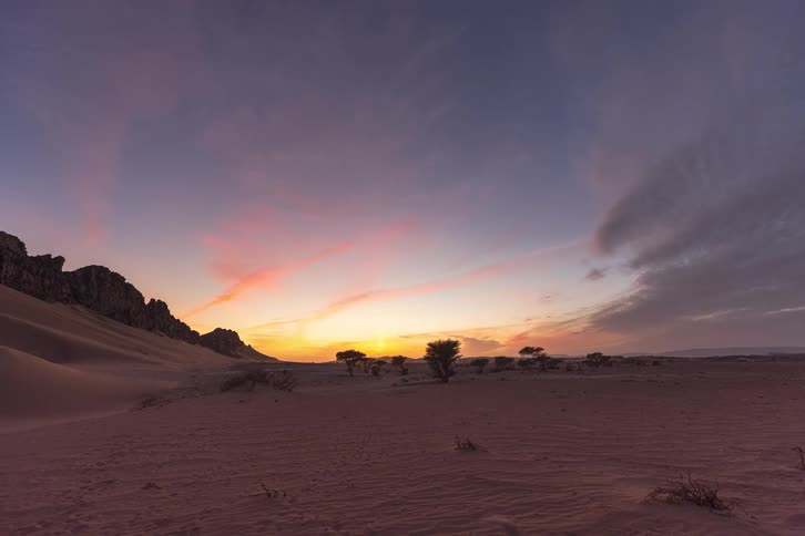 Pink and orange clouds drift across a twilight sky over a vast desert where scattered trees sit between rolling sand dunes and dark jagged mountains under a fading sun