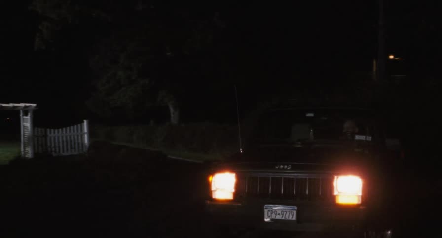 Car pulling in driveway at night