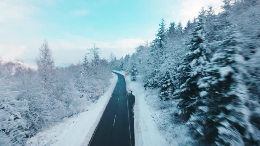 Road passing through snowcovered forest