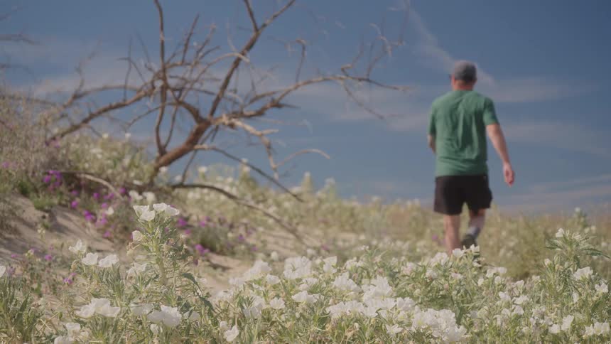 A man walking on a grassy hill wearing a green tshirt shorts and a hat at midday