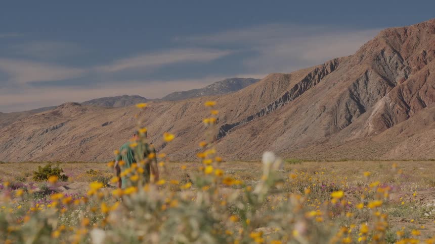 A man walking through a field with wildflowers