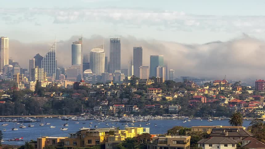 A city skyline rises behind a harbor filled with boats with low clouds drifting among the skyscrapers