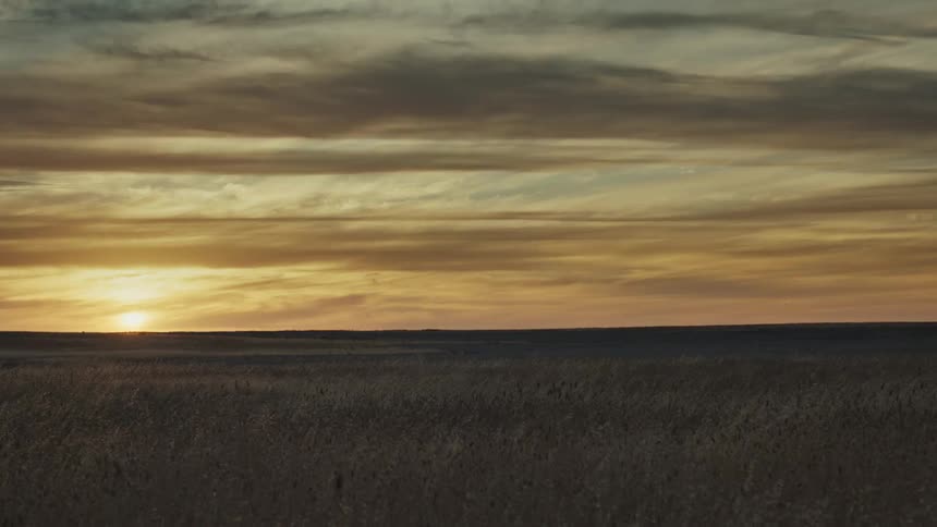 This is the sharpest and most prominent line separating the dark textured foreground of the field from the bright glowing sky it sits roughly at the lower third of the frame giving the image a grounded feel