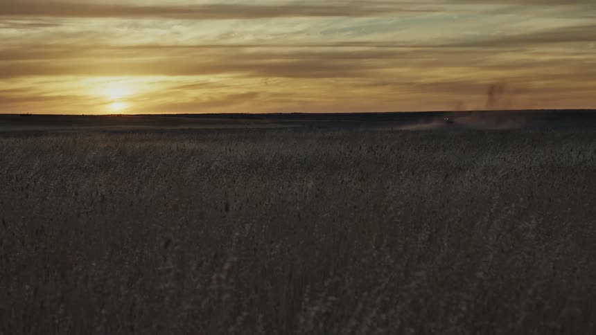 Sun sets over wide field of dry vegetation beneath sky with elongated clouds