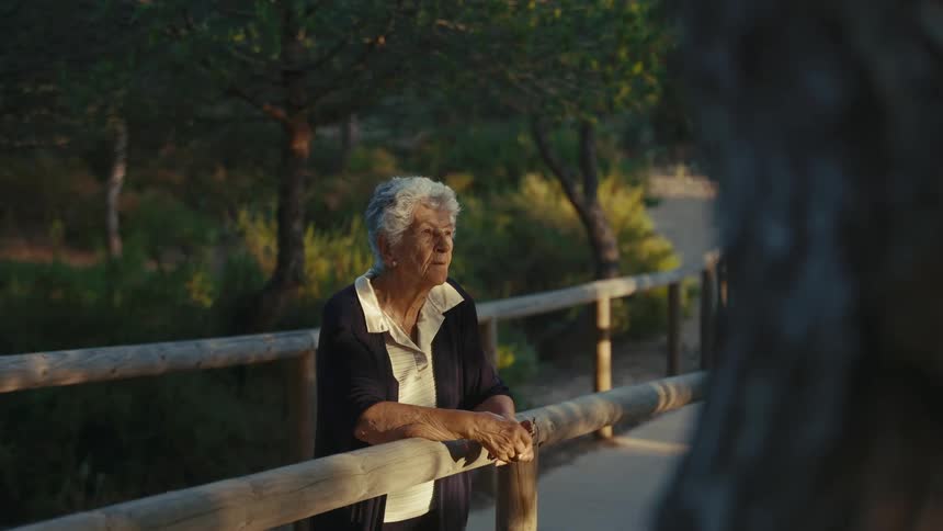 Elderly person leaning on a wooden railing along a path surrounded by trees