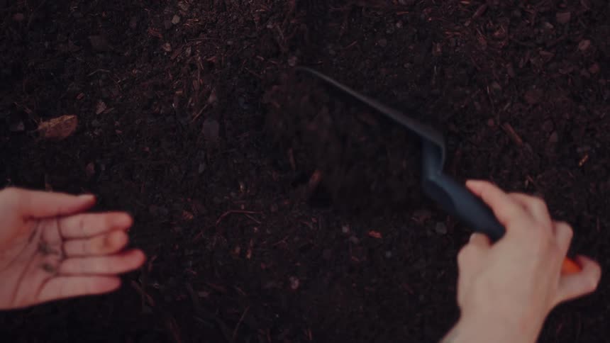 A person uses a small hand shovel to carefully spread dark rich soil over tiny seeds scattered on the groundthe topdown perspective captures the steady movement of the tool as it works to tuck the future plants into their garden bed