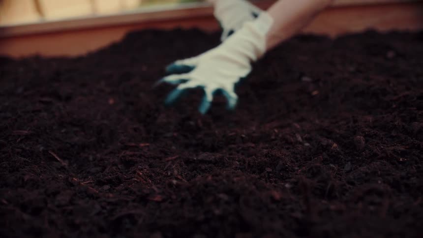 A woman working on container gardening