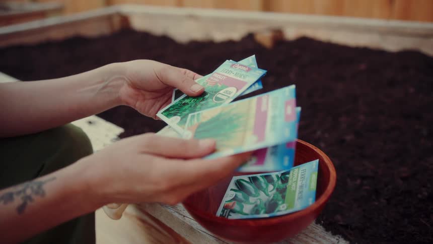 Hands holding seed packets beside a bowl on a soil garden bed