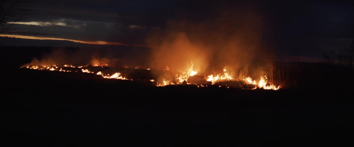 A fire burning in a forest at night