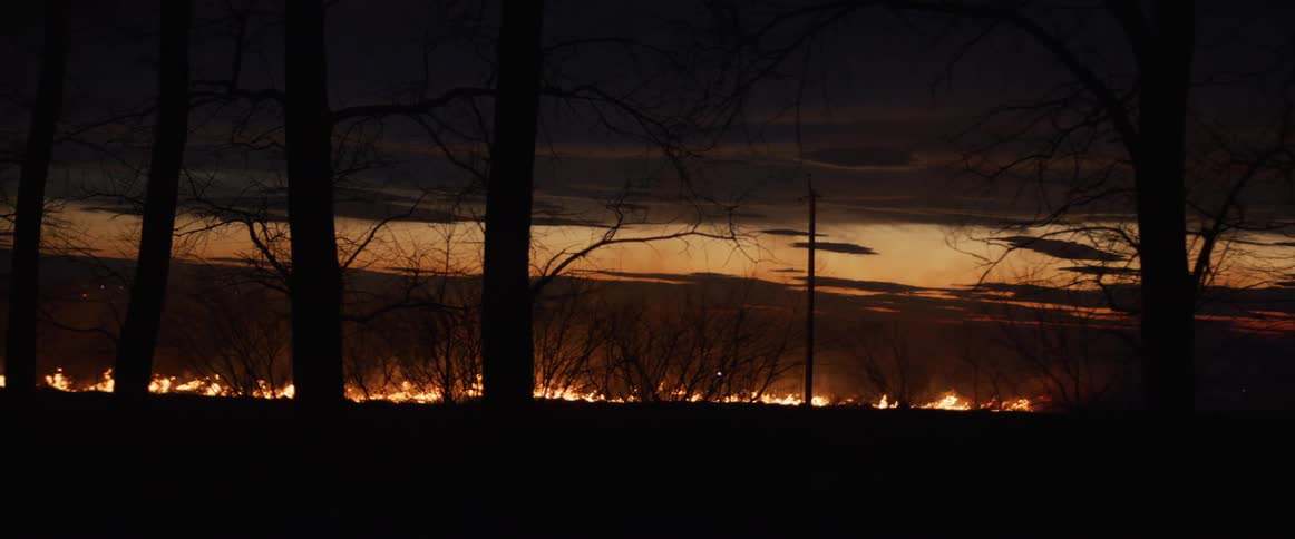 A line of fire burns across a field seen through silhouettes of trees at dusk