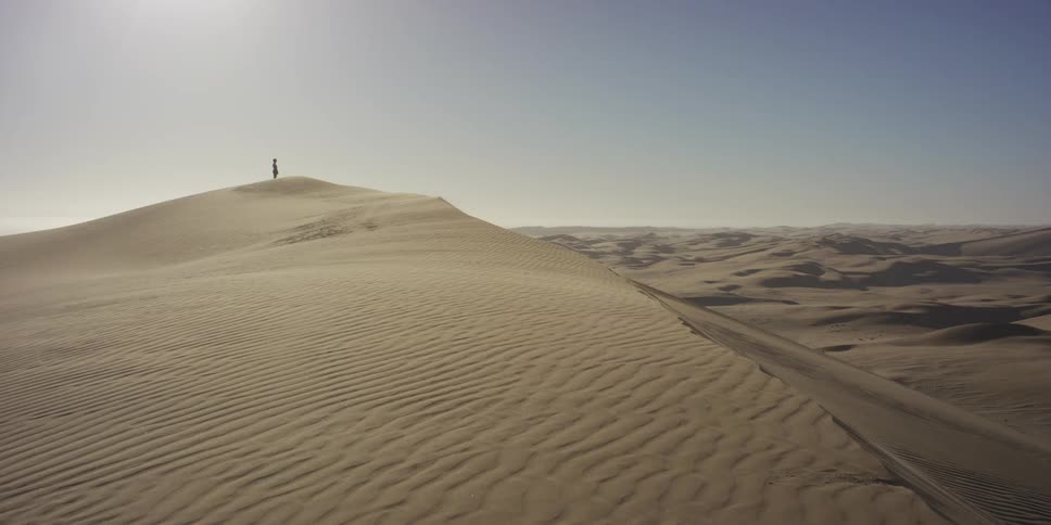 Person standing on top of a dune facing a vast desert