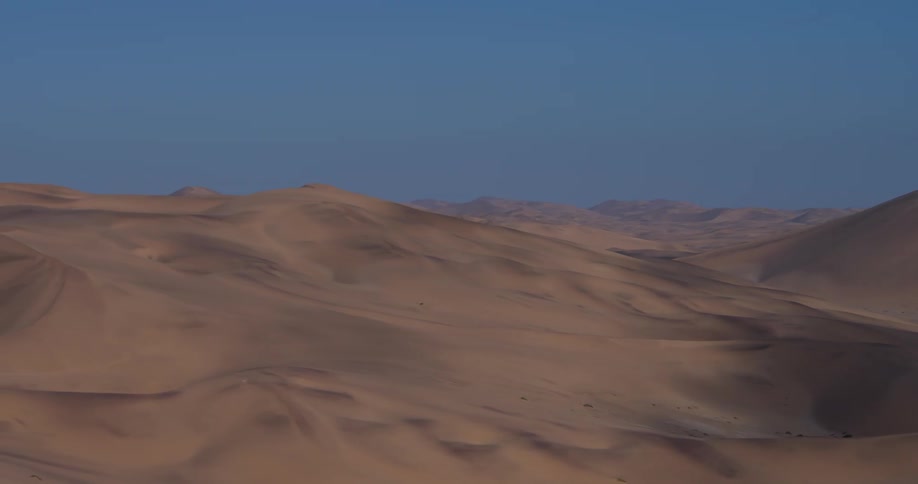 Large sand dunes stretch across a vast desert landscape under a clear blue skythe afternoon sun casts soft shadows along the ridges and curves of the undulating terrain