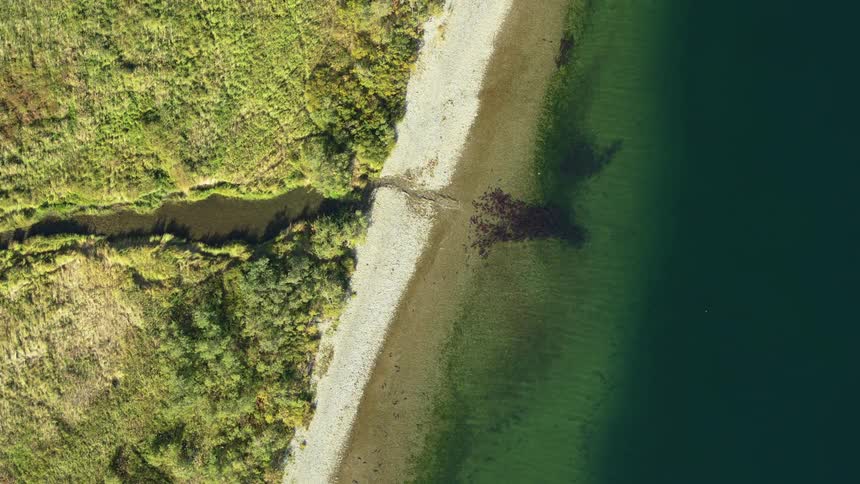 An aerial view shows a narrow stream winding through green vegetation before spilling onto a pale shoreline beside clear blue water
