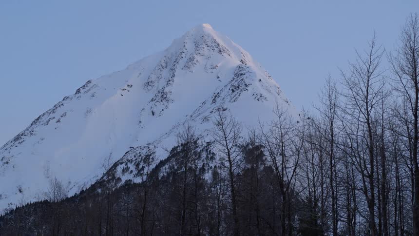 A mountain with its peak covered in snow and leafless pine trees at the base at midday