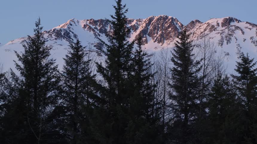 Sunlight glows on the snowy jagged peaks of the chugach mountains above the dark silhouettes of evergreen trees in alaska during a clear winter dusk