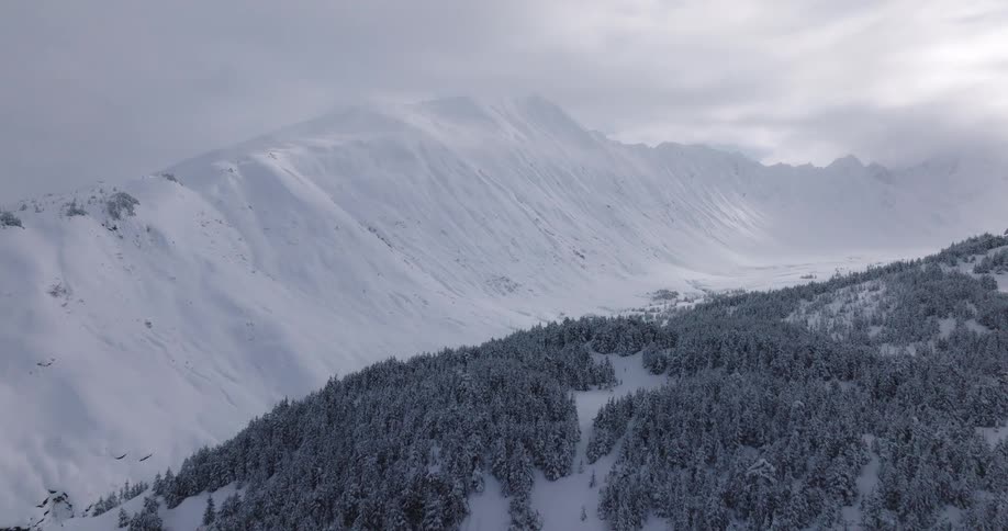 Snow covered forested mountains under a cloudy winter sky
