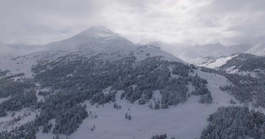 Snow covered forested mountains under a cloudy winter sky