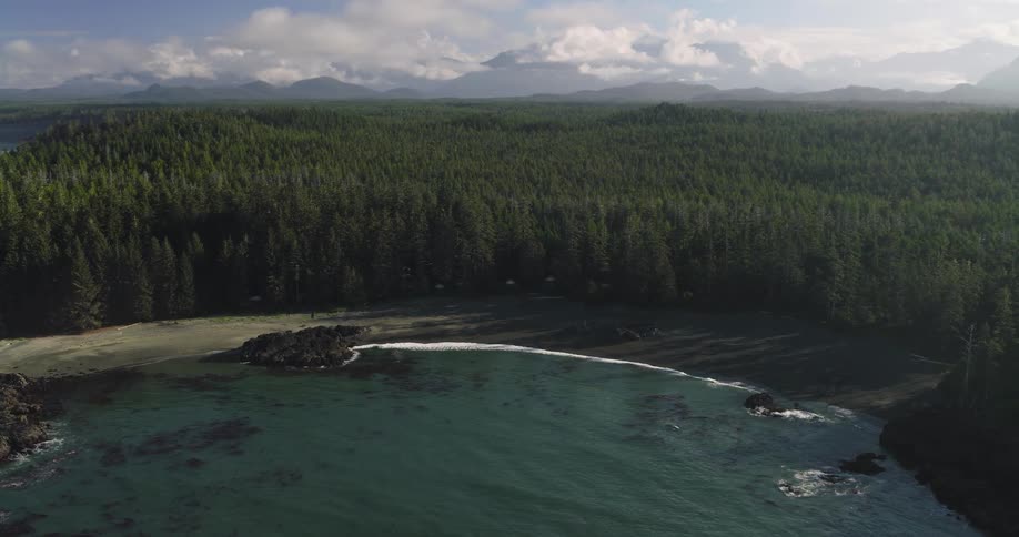 A majestic high-angle aerial view of a remote and serene coastal cove where gentle waves meet a sandy beach backed by a dense evergreen forest