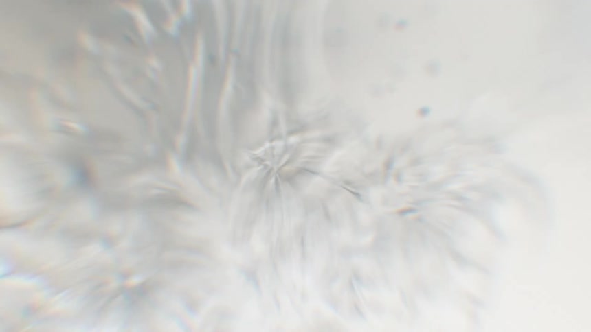 Macro timelapse captures the mesmerizing formation of intricate, feathery ice crystals against a clean white background