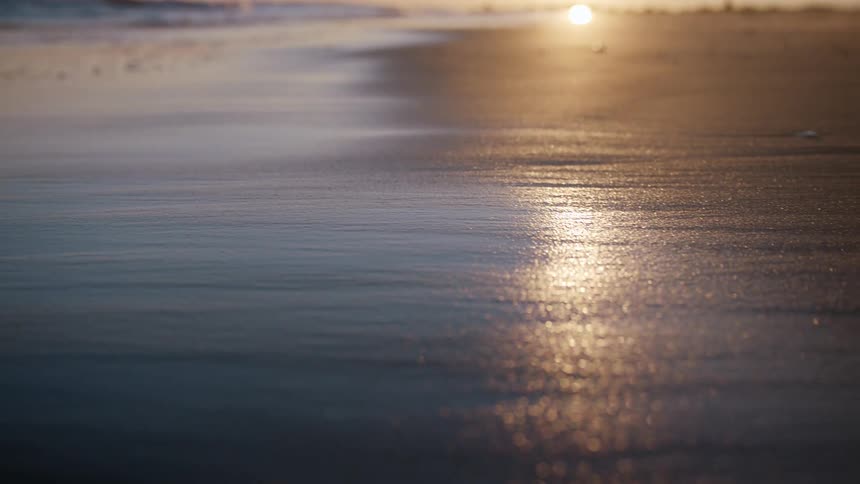 A serene close-up shot captures the golden light of the setting sun reflecting on the shimmering wet sand of a beach