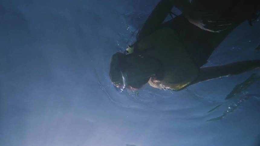 A snorkeler swims in the ocean