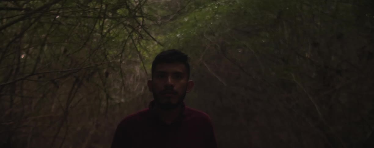 A man is walking through the dark woods