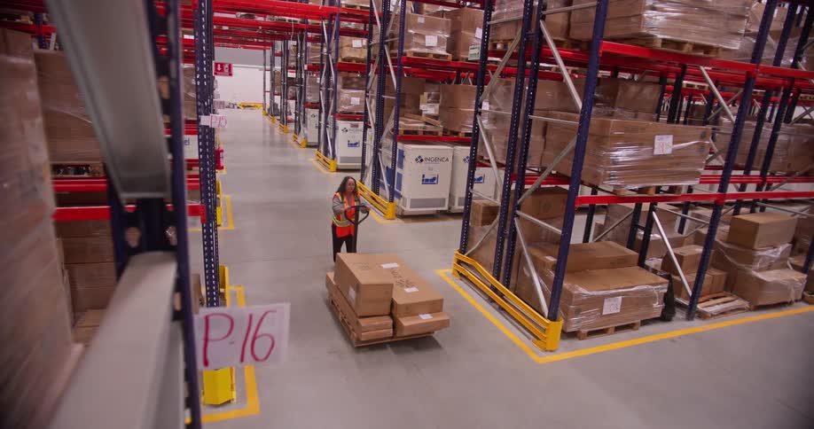 A female warehouse worker pulls a pallet jack loaded with cardboard boxes down an aisle in a large distribution center