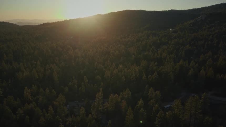 A slow aerial pullback reveals a vast mountain pine forest bathed in the golden light of the setting sun