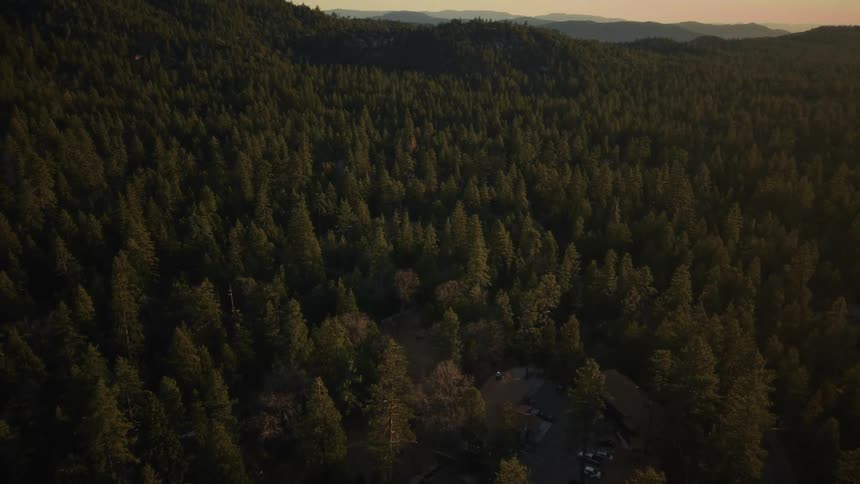 A sweeping aerial view reveals a vast evergreen forest covering rolling mountains during a beautiful golden hour