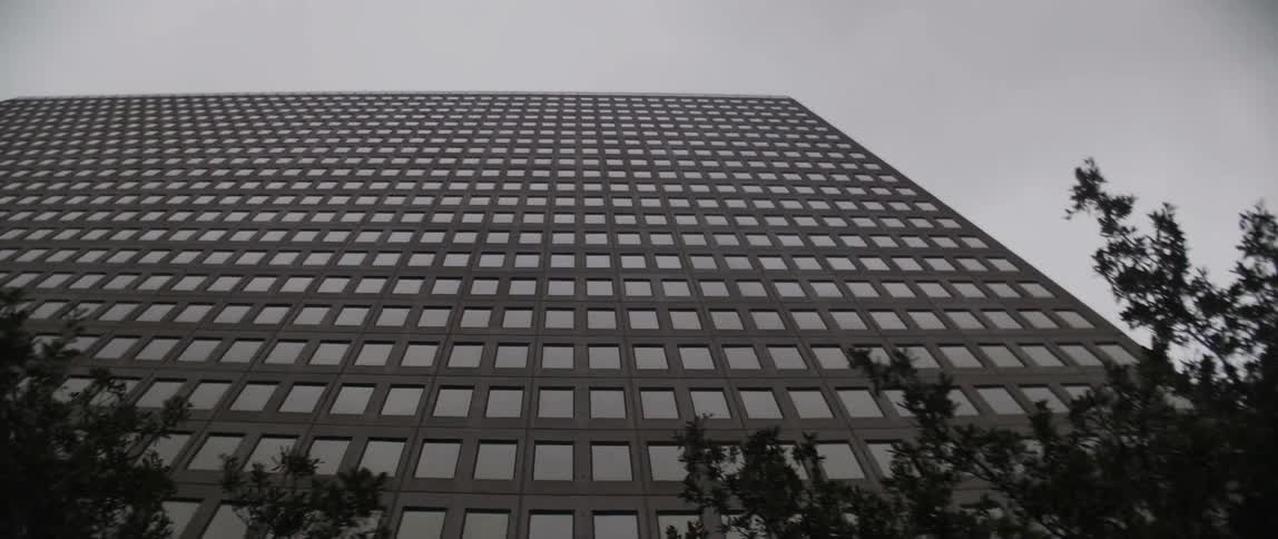 Many windows of a tall and wide city building