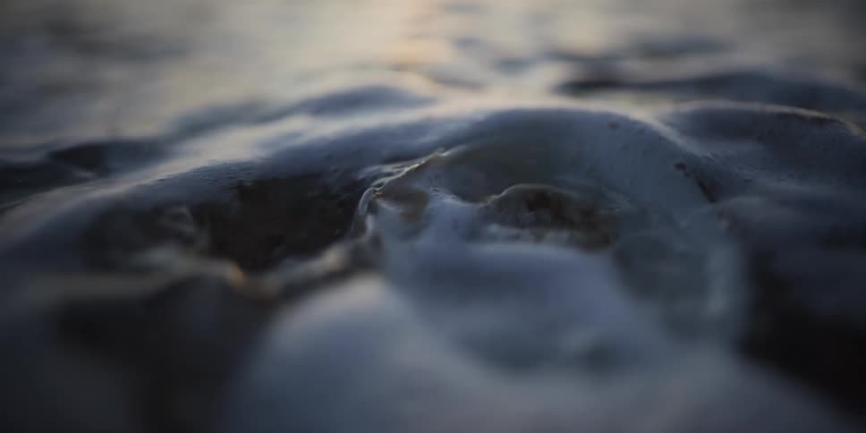 A foamy ocean wave washes over a seashell on the sandy shore in a slow-motion close-up at sunset