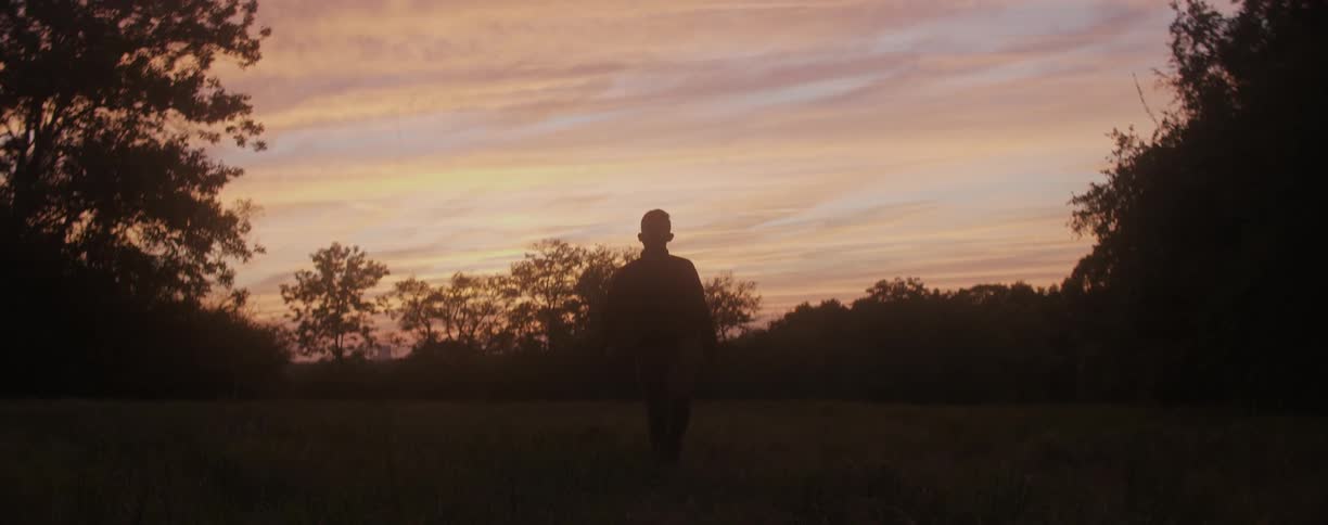 A man walks in a field at sunset