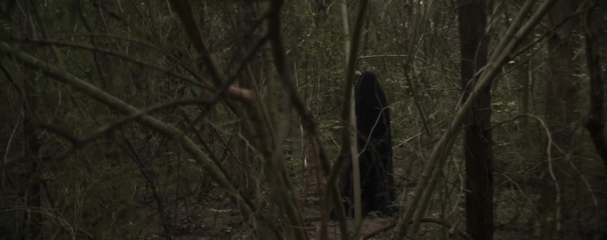 A woman wearing a long robe is standing in a dense forest