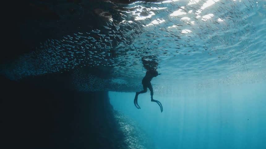 A silhouetted freediver floats at the surface, surrounded by a massive school of fish in the clear blue ocean