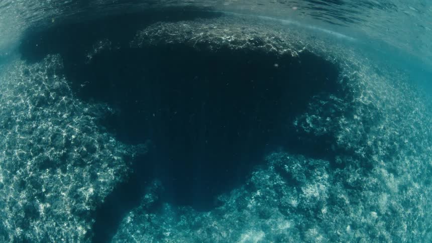 A serene underwater view shows ethereal sun rays filtering through the turquoise ocean, casting a large shadow on the rocky seabed