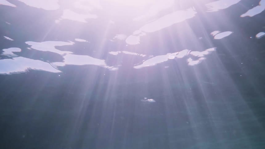 Underwater view on a sunny day