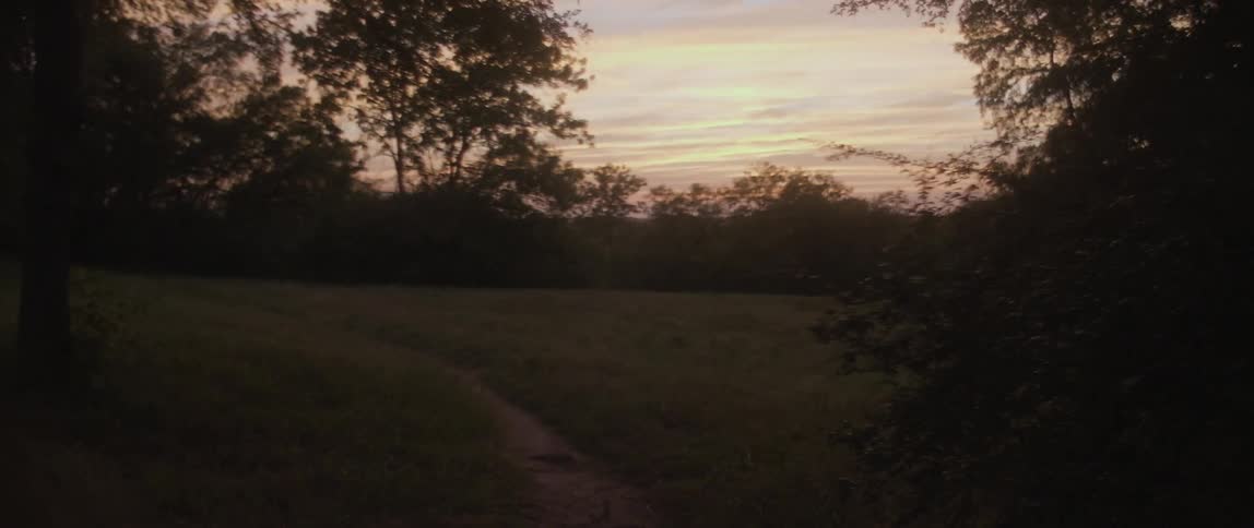 The field is surrounded by trees at dawn