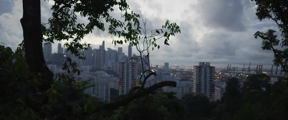 An overcast view of the Singapore cityscape and shipping port from a verdant hilltop at dusk as birds fly by